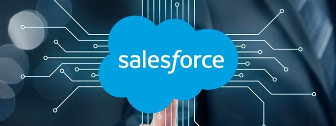 Salesforce Development Company